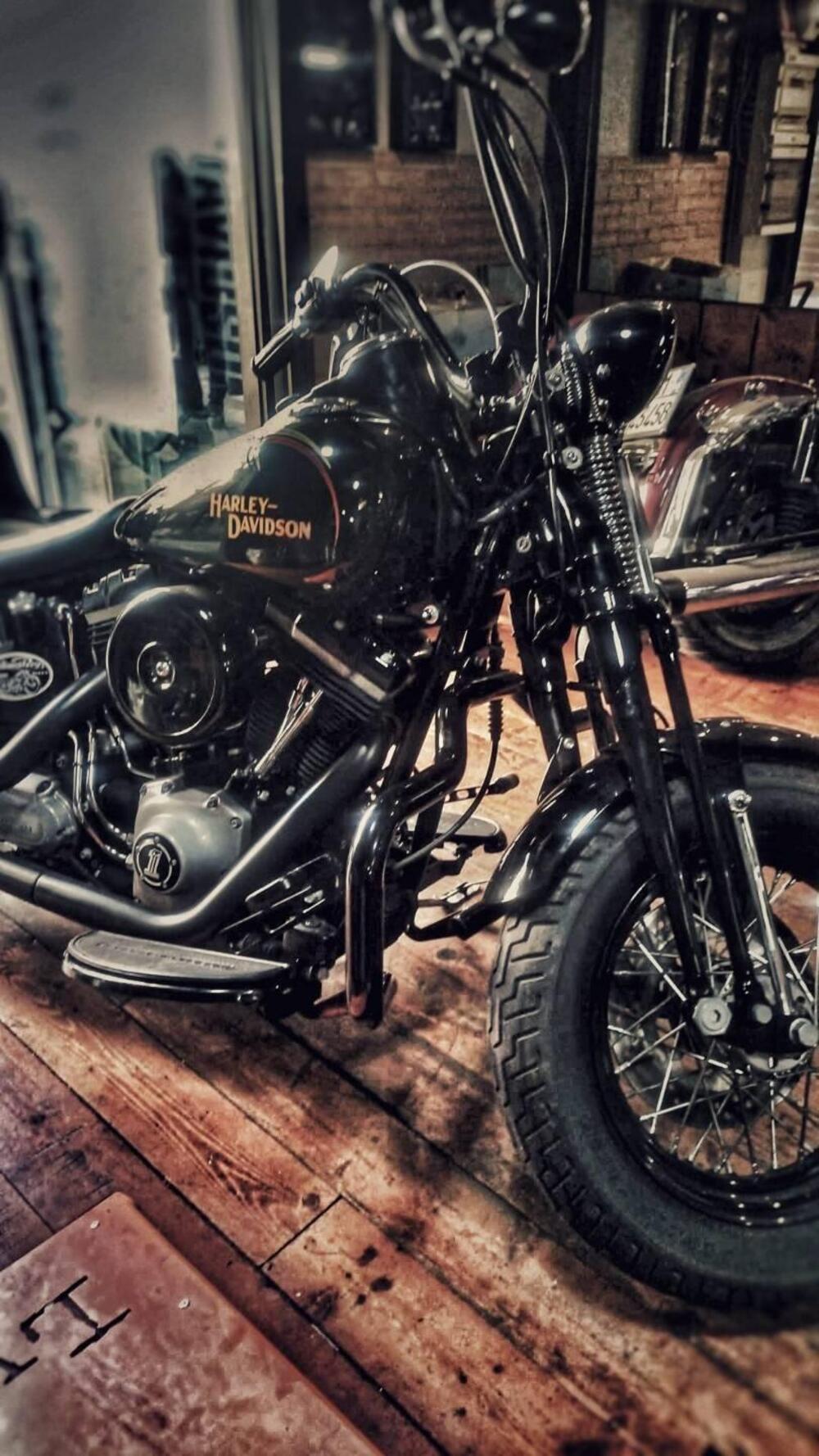 Harley-Davidson 1584 Cross Bones (2008 - 11) - FLSTSB (4)