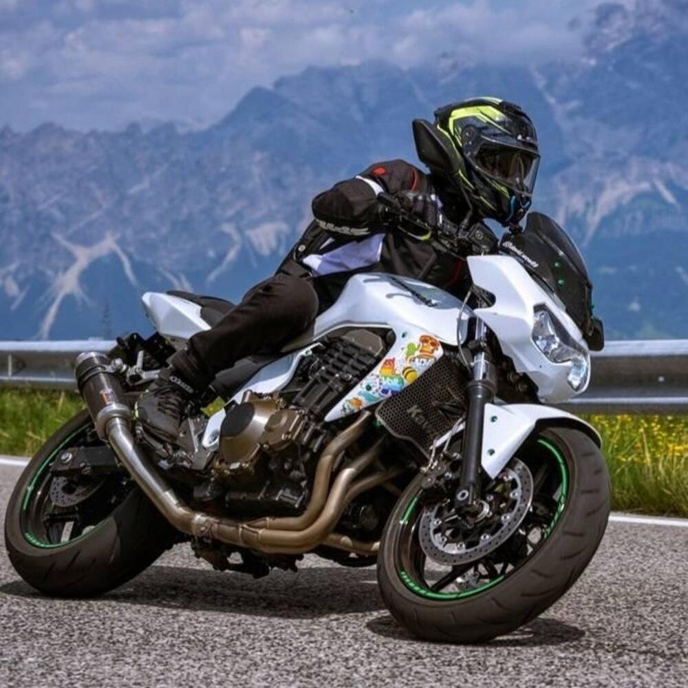 Kawasaki Z 750 (2003 - 06) (13)