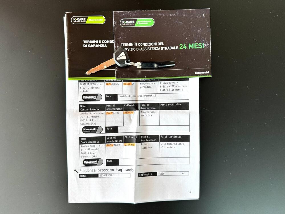 Kawasaki Versys 650 Grand Tourer (2017 - 20) (19)