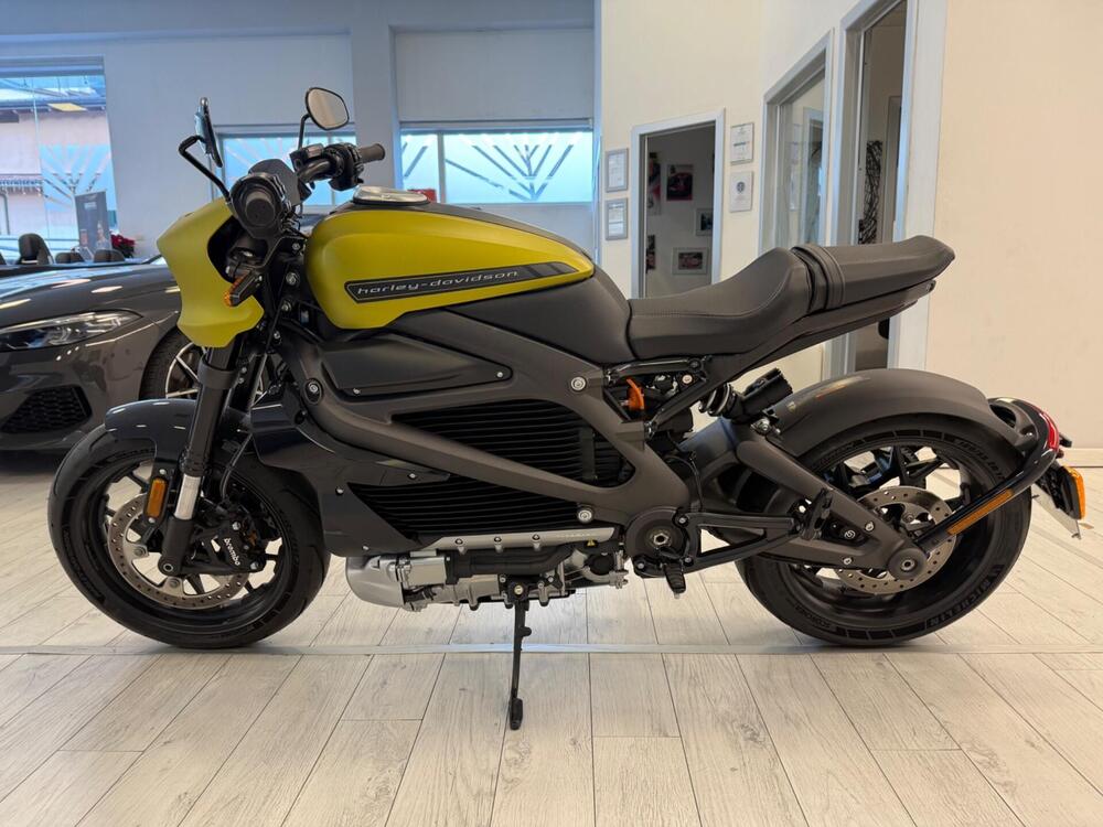Harley-Davidson LiveWire (2019 - 22) (3)