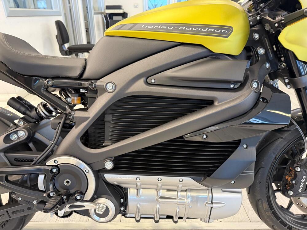 Harley-Davidson LiveWire (2019 - 22) (6)