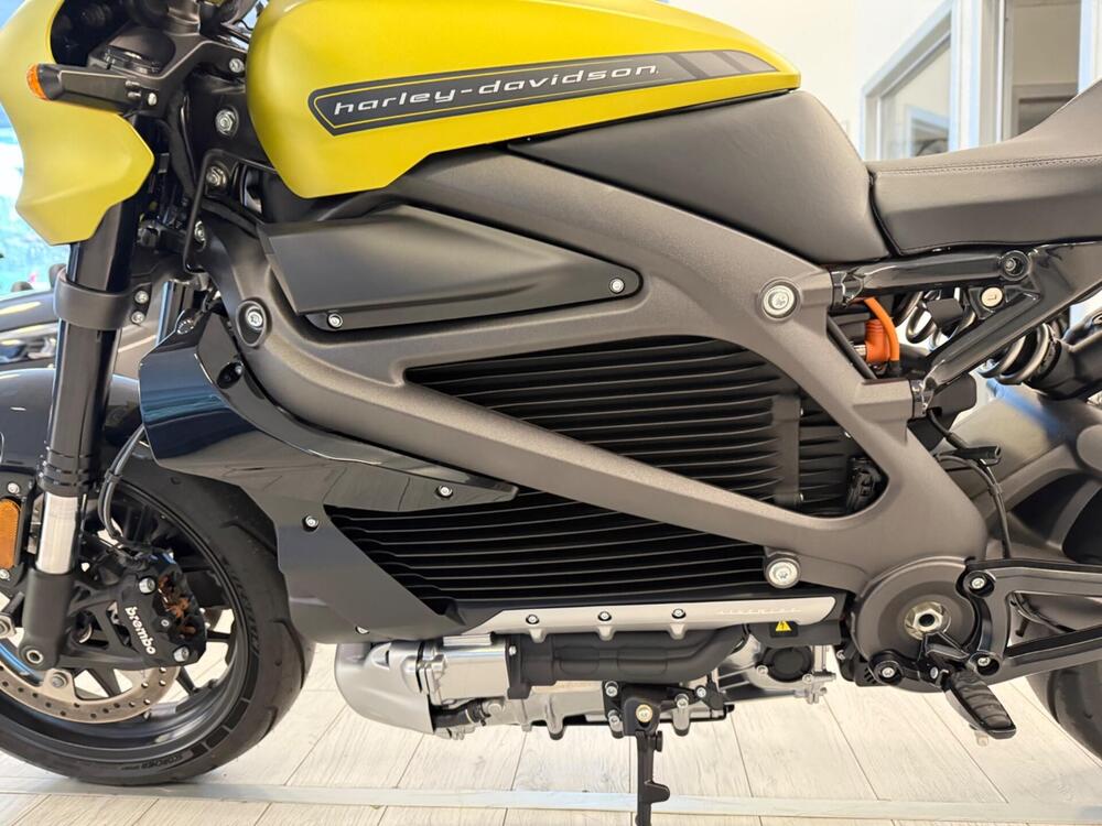 Harley-Davidson LiveWire (2019 - 22) (7)