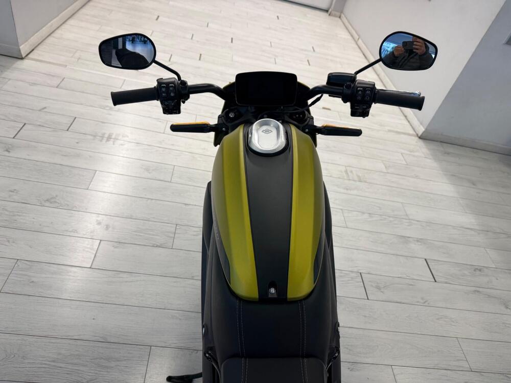 Harley-Davidson LiveWire (2019 - 22) (8)