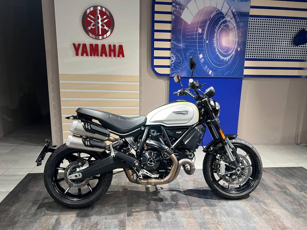 Ducati Scrambler 1100 Pro (2020 - 22)