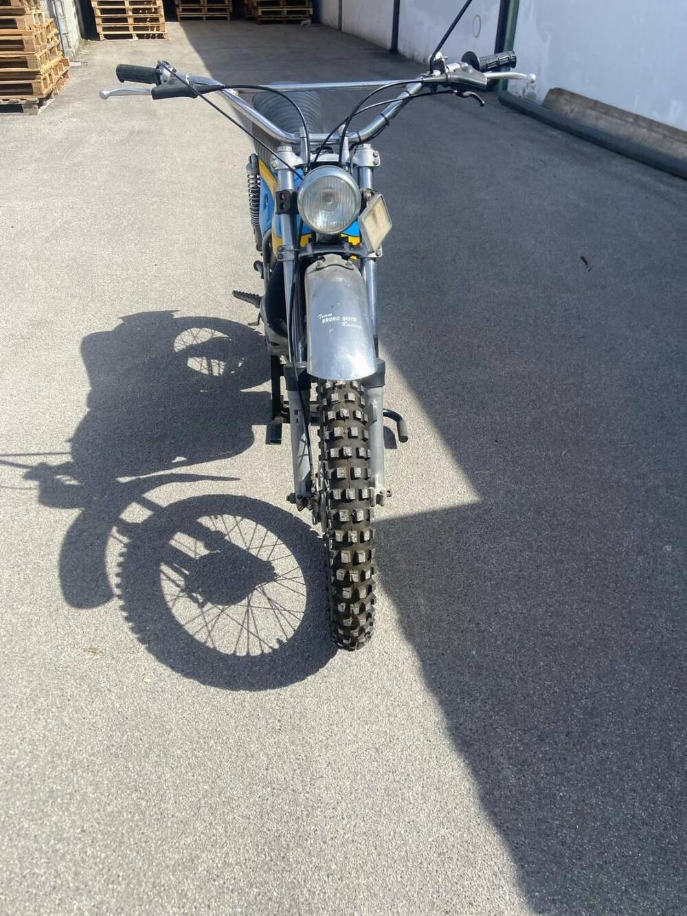 Bultaco ALPINA  350 (6)