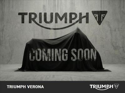 Triumph Tiger 800 ABS (2010 - 14) usata