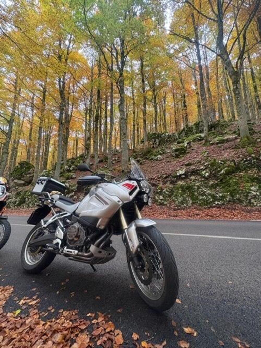 Yamaha XT1200Z Super Ténéré First Edition (2010 - 11) (9)