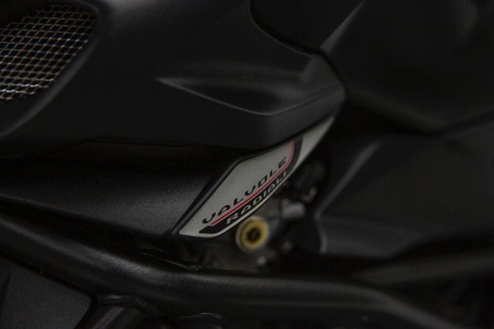 MV Agusta Brutale 920 (2011 - 12) (4)