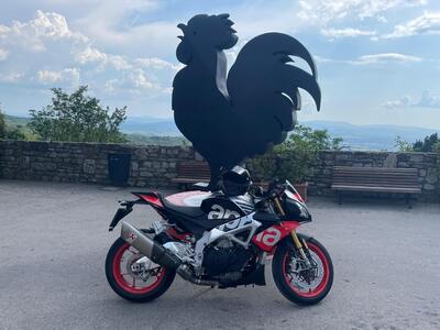 Aprilia Tuono V4 Factory (2015 - 17) usata