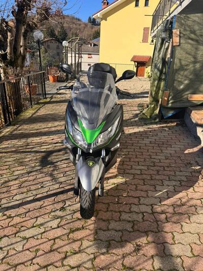 Kawasaki J 300 SE (2017 - 18) usata