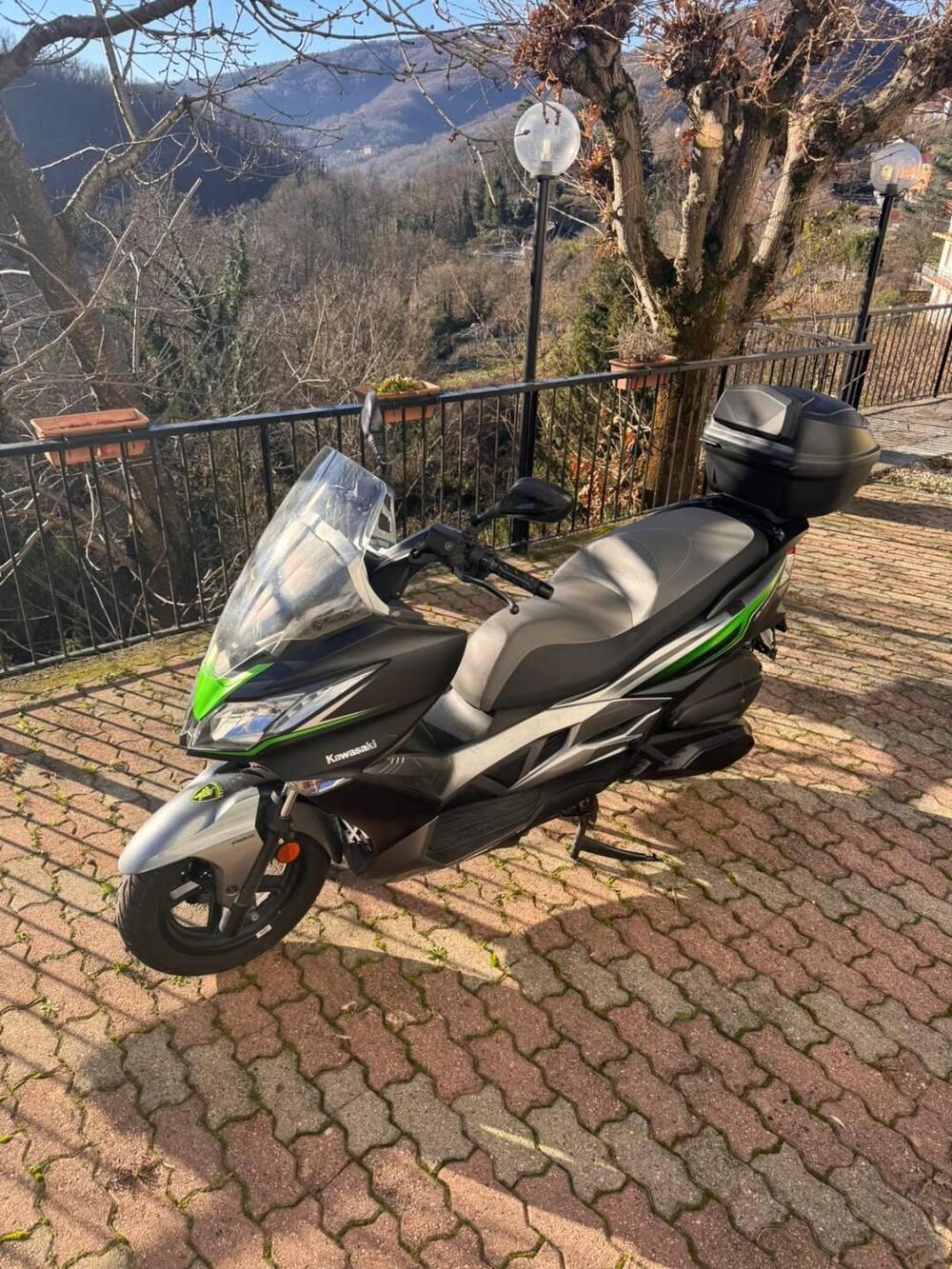 Kawasaki J 300 SE (2017 - 18) (6)