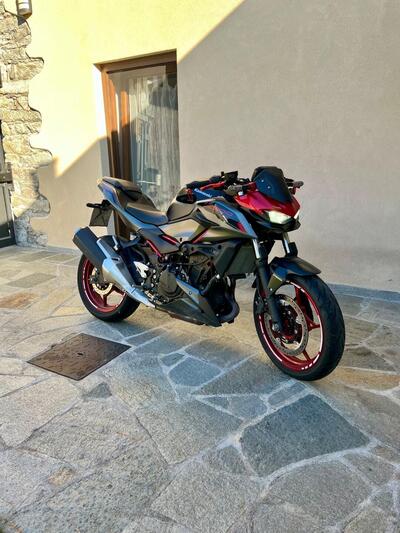 Kawasaki Z 500 SE (2024 - 26) usata
