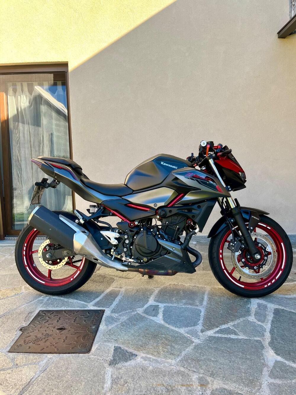 Kawasaki Z 500 SE (2024 - 26) (3)