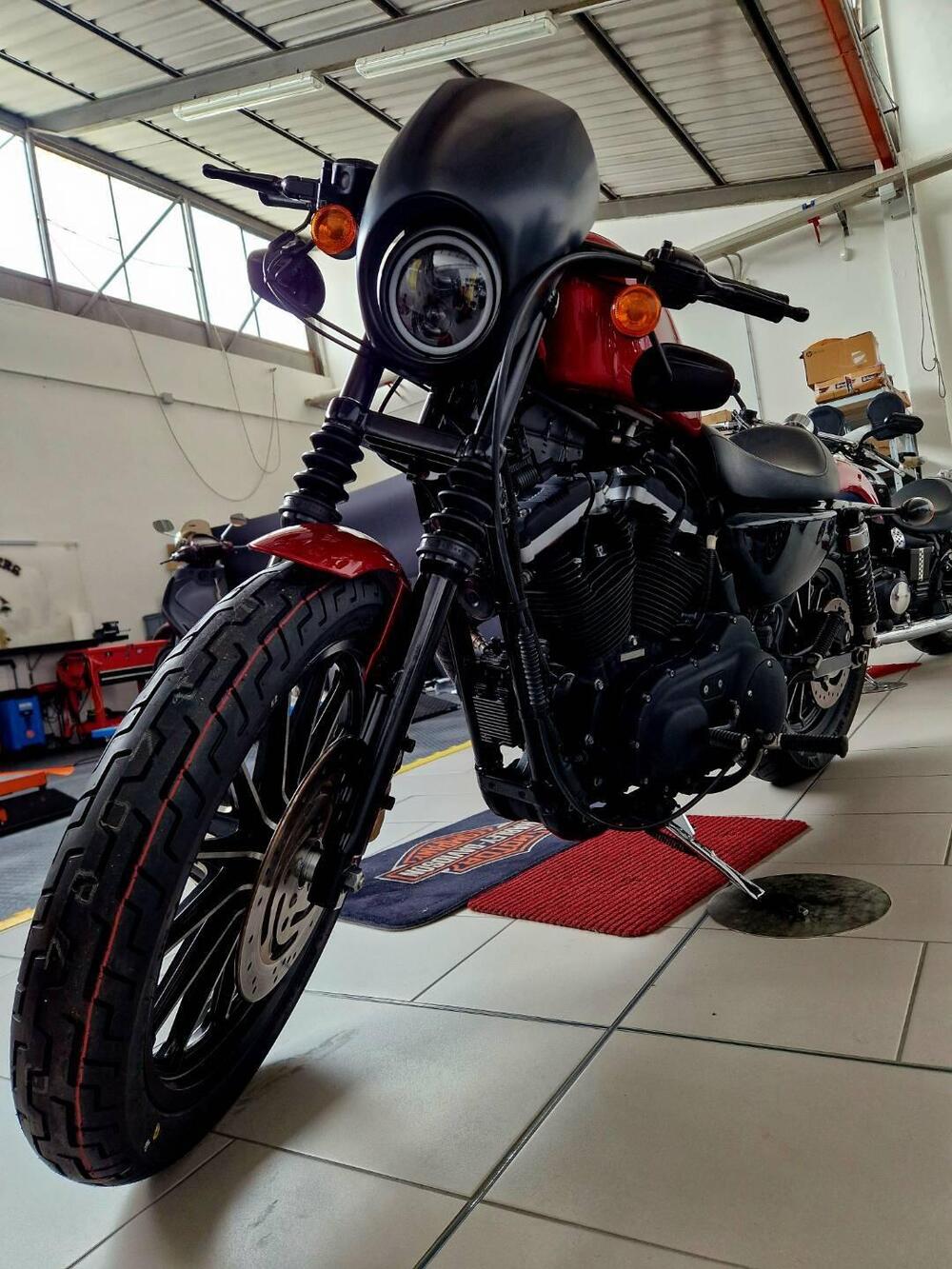 Harley-Davidson 883 Iron (2012 - 14) - XL 883N (5)