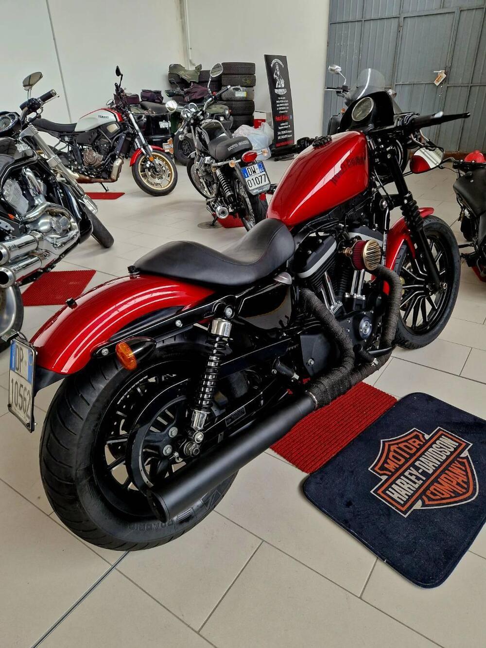 Harley-Davidson 883 Iron (2012 - 14) - XL 883N (6)