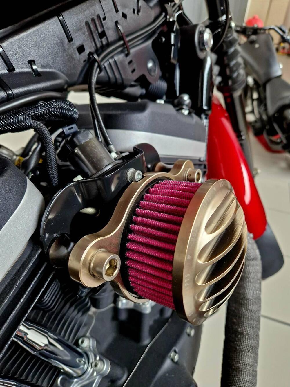 Harley-Davidson 883 Iron (2012 - 14) - XL 883N (17)