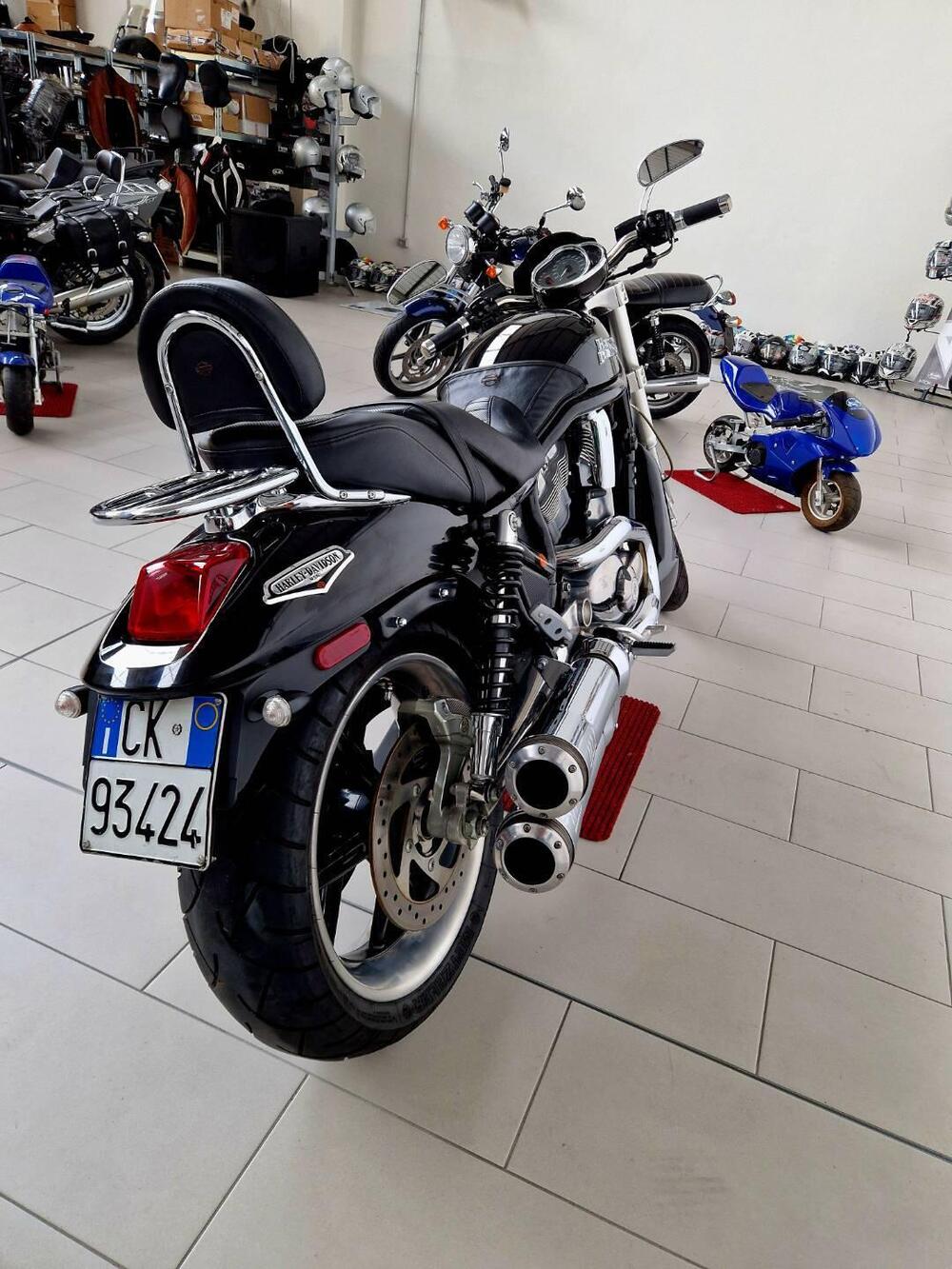 Harley-Davidson 1130 Street Rod (2006 - 07) - VRSCR (6)