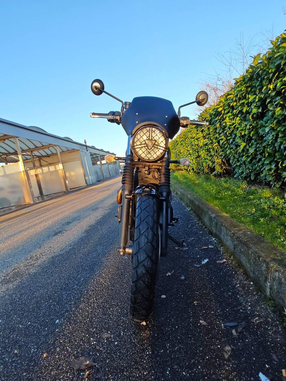 Triumph Street Scrambler 900 (2019 - 20) (5)