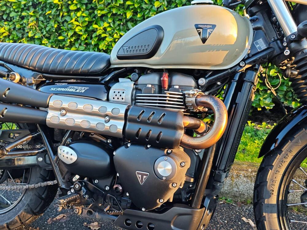 Triumph Street Scrambler 900 (2019 - 20) (2)