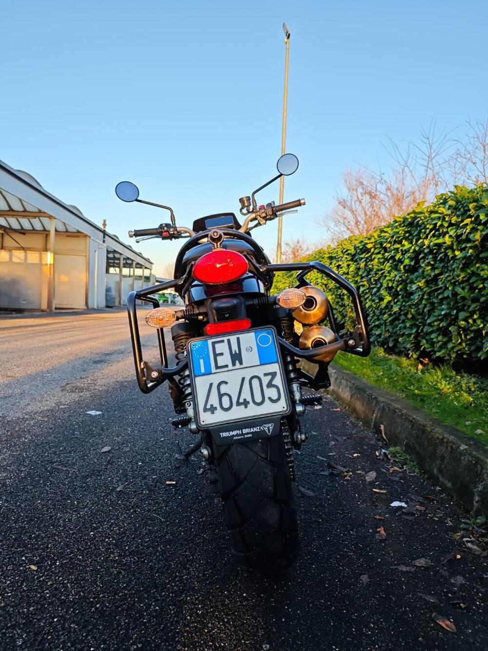 Triumph Street Scrambler 900 (2019 - 20) (7)