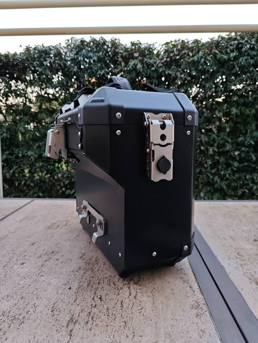 Triumph Street Scrambler 900 (2019 - 20) (12)