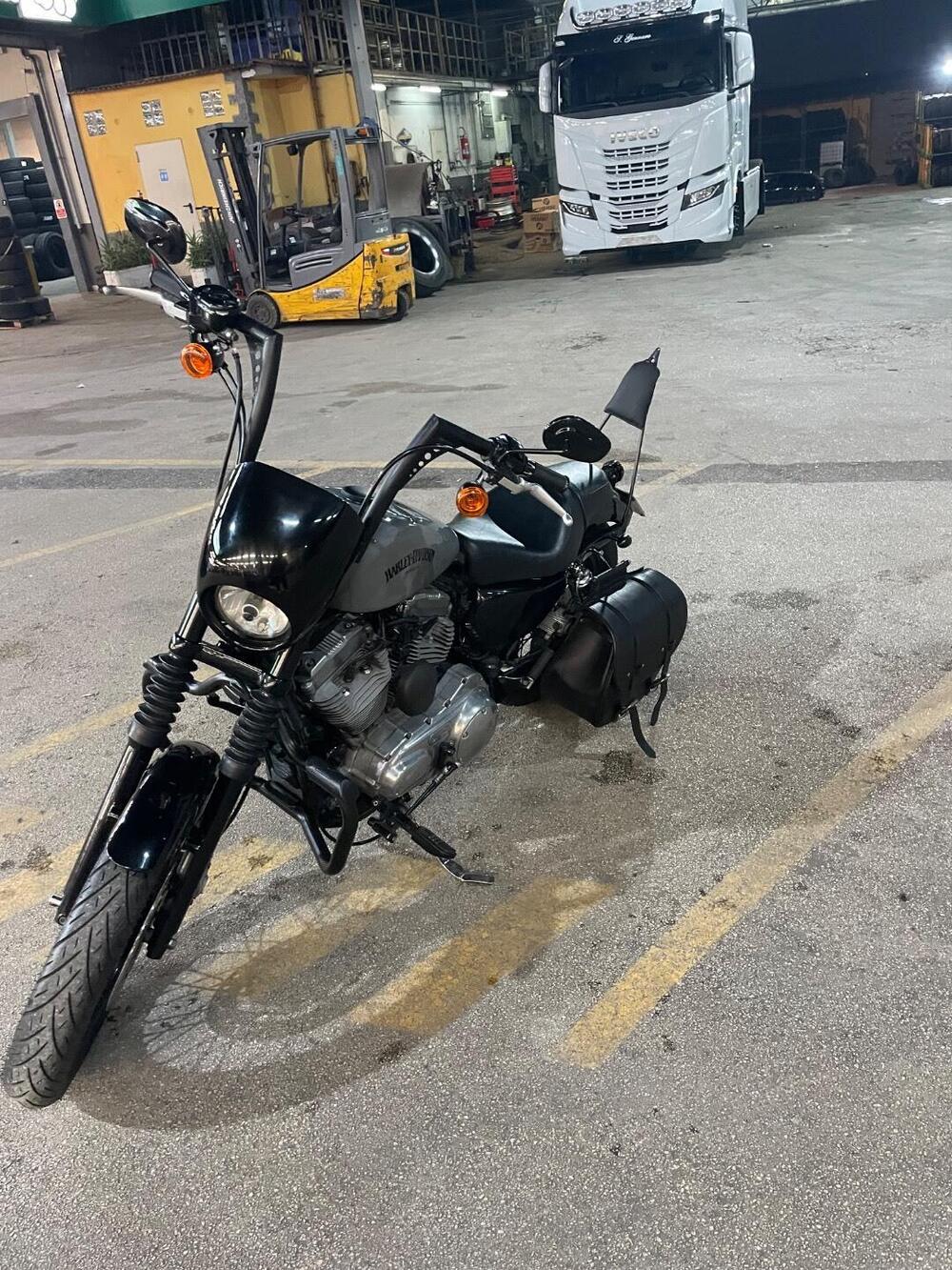 Harley-Davidson 883 xl (3)