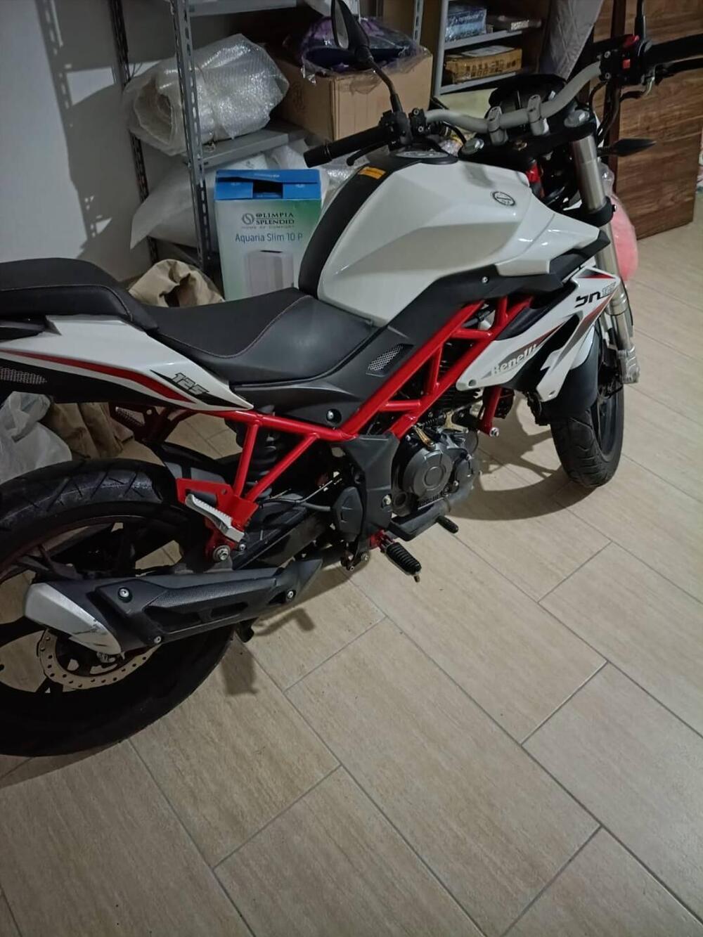 Benelli BN 125 (2018 - 20) (3)