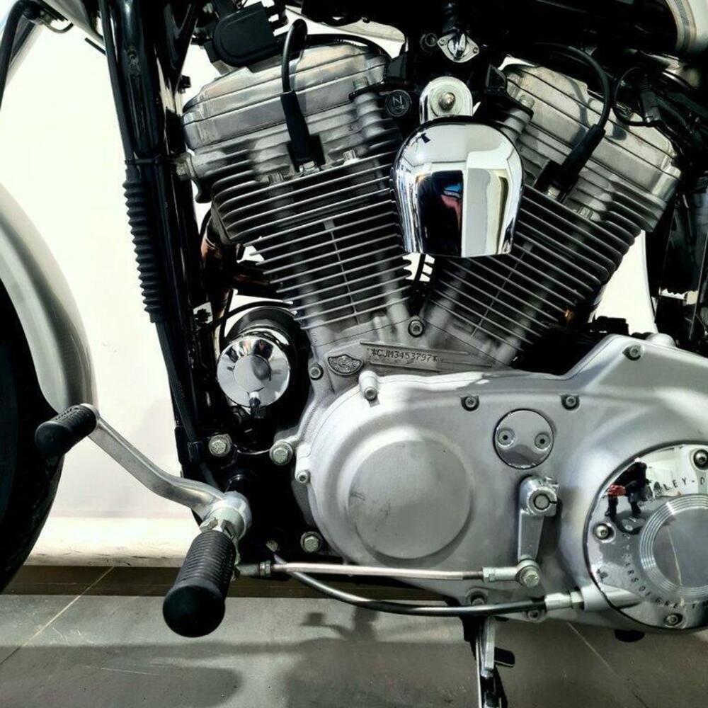 Harley-Davidson 883 Standard (2001 - 05) - XL 883 (13)