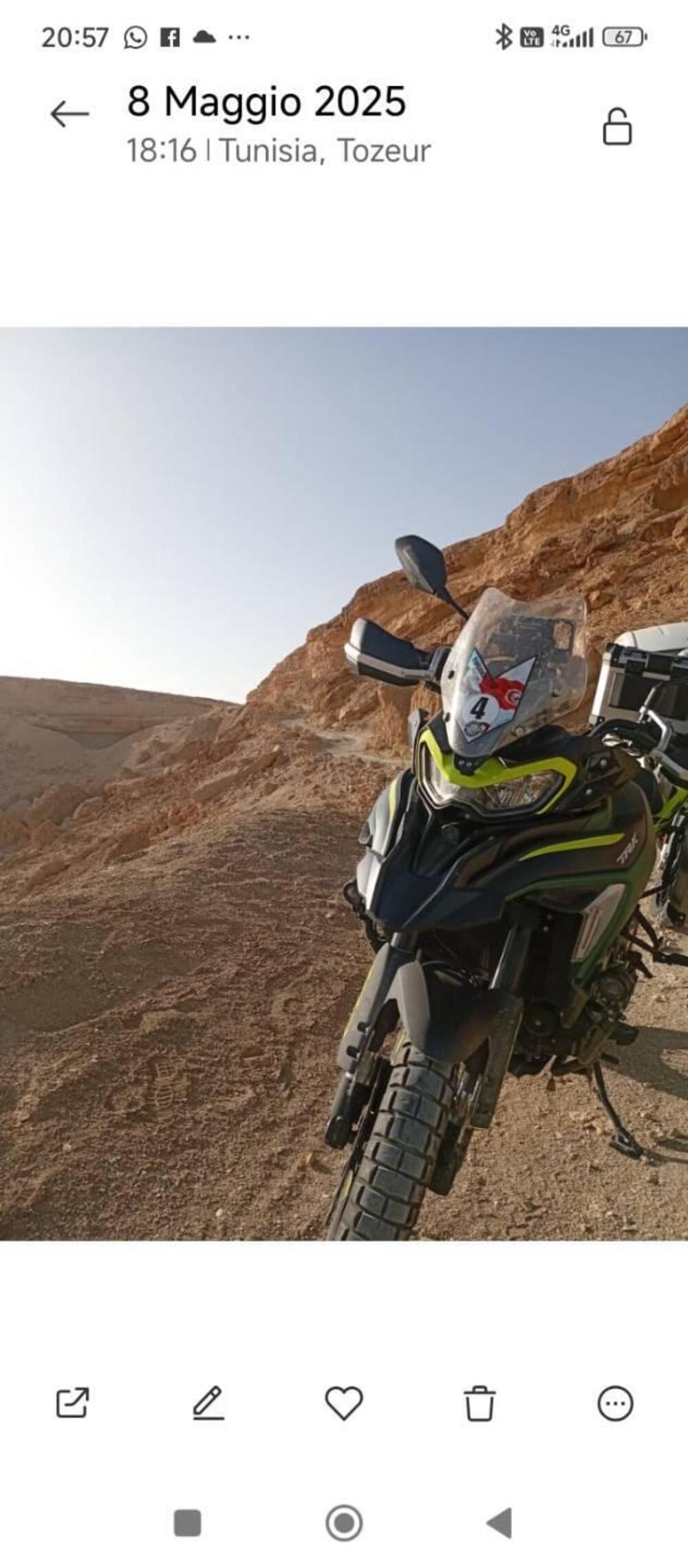 Benelli TRK 702X (2023 - 25) (2)