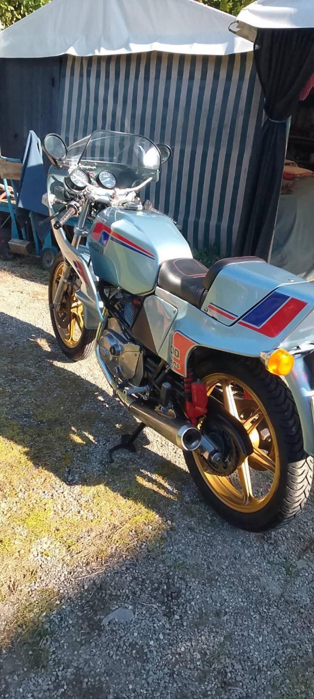 Ducati Pantah 500 (5)