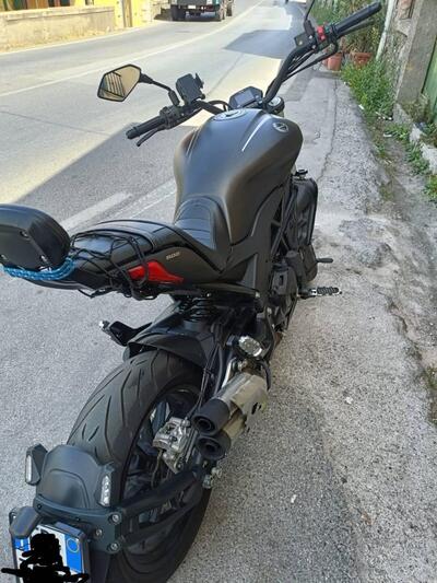 Benelli 502 C (2021 - 25) usata