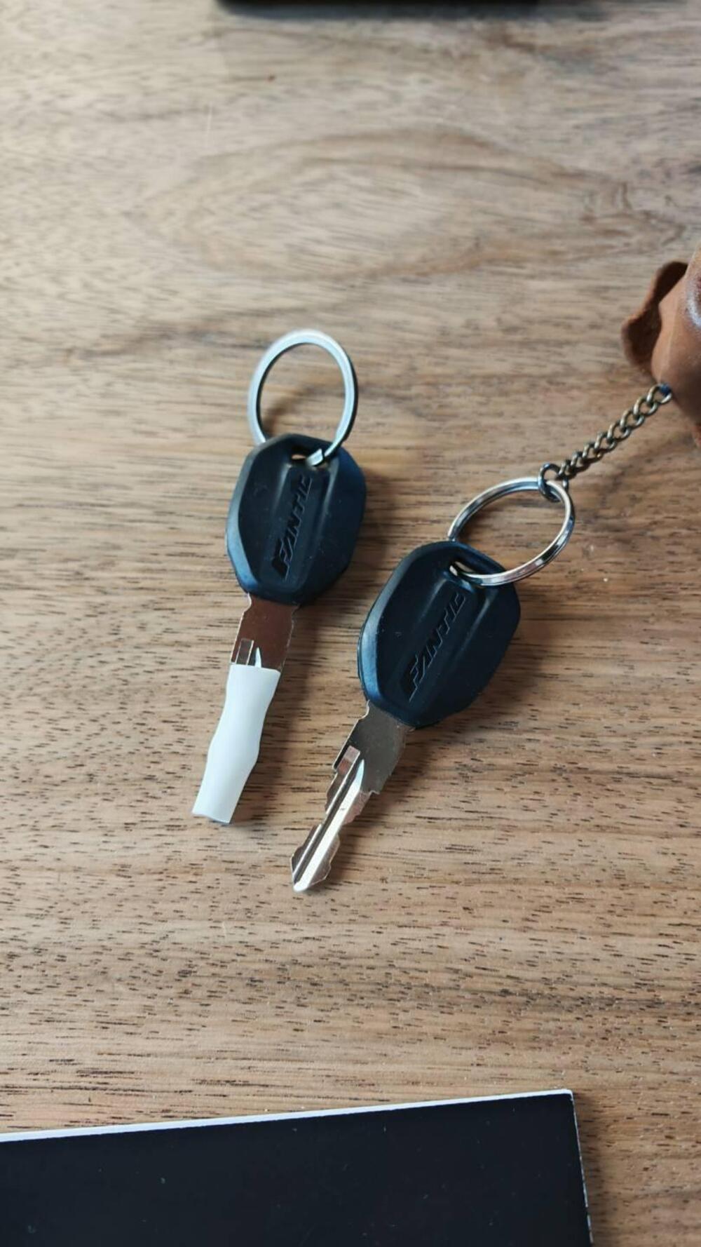 Fantic Motor XMF 125 Performance (2025) (15)