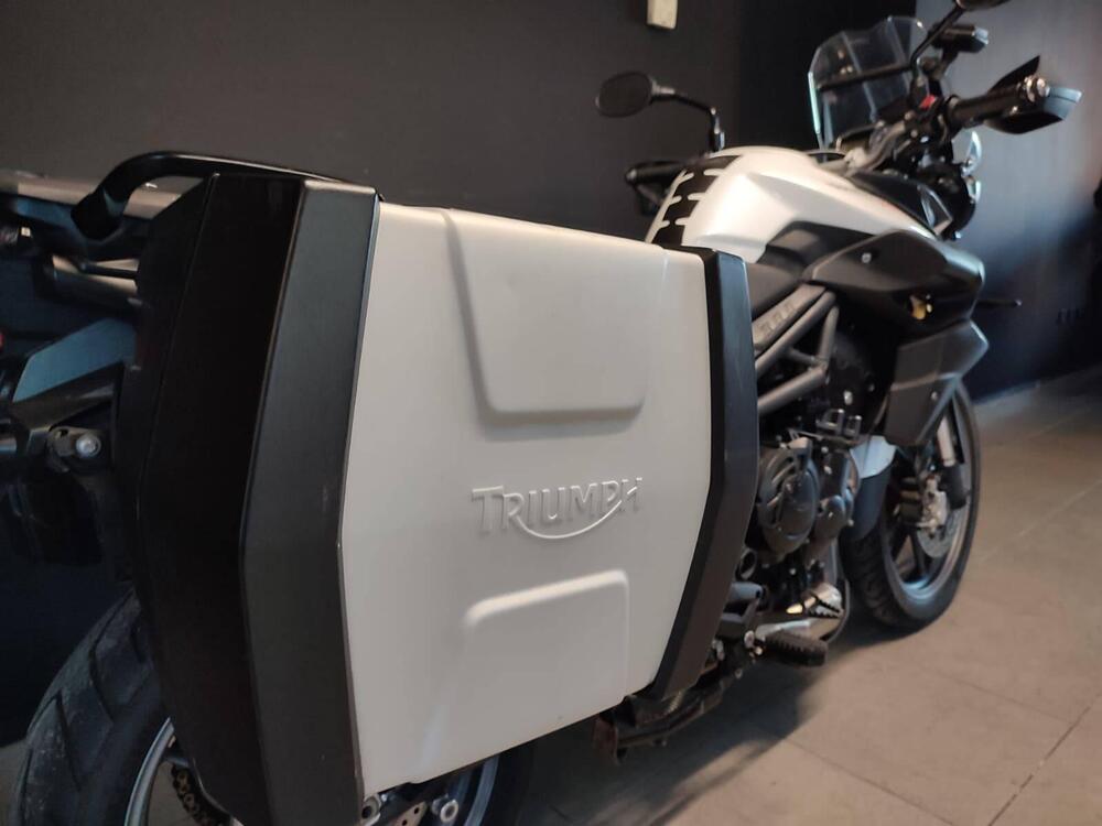 Triumph Tiger 800 (2010 - 14) (6)