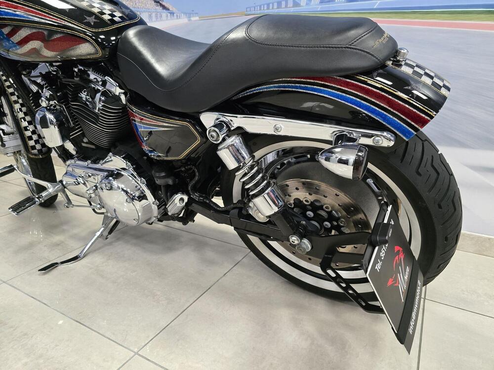 Harley-Davidson 1200 Custom (2004 - 06) - XL 1200C (9)