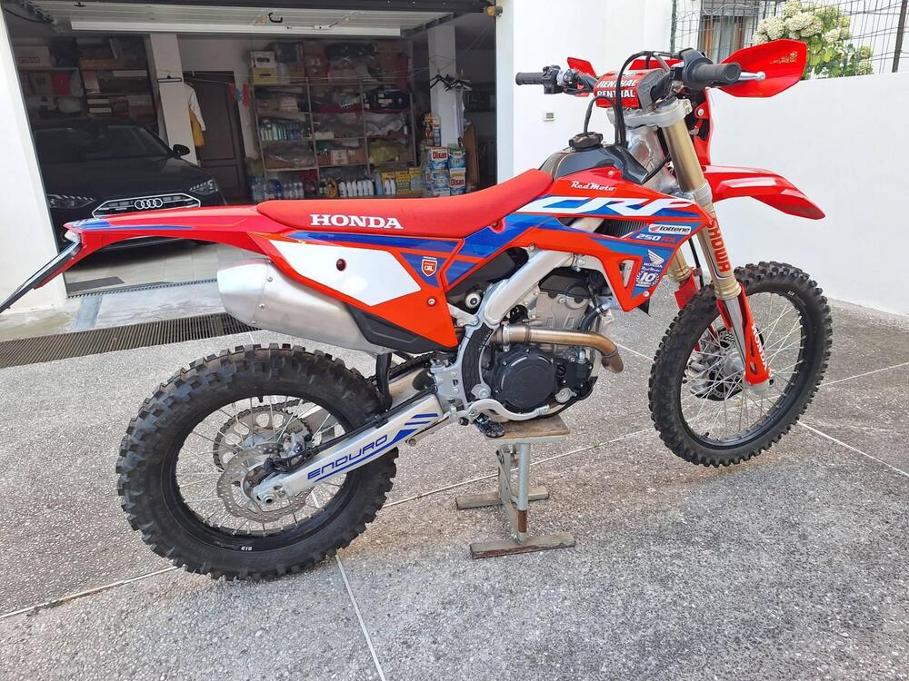 Honda CRF 250 RX Enduro (2024) (3)
