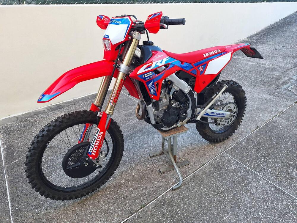 Honda CRF 250 RX Enduro (2024) (2)