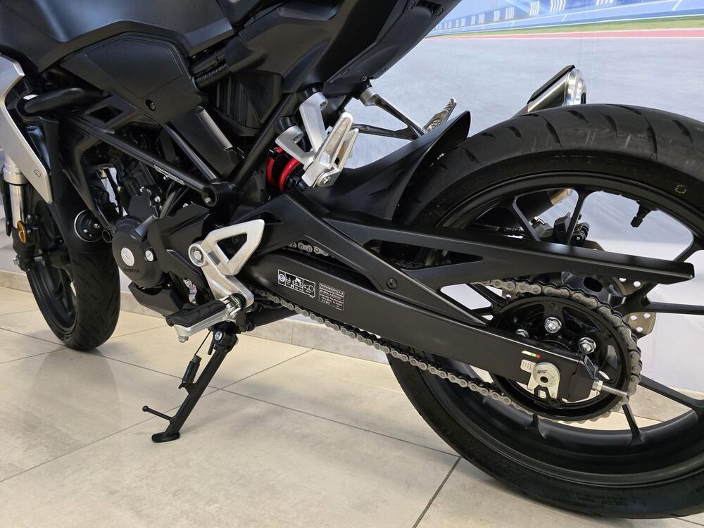 Honda CB 300 R (2018 - 19) (13)