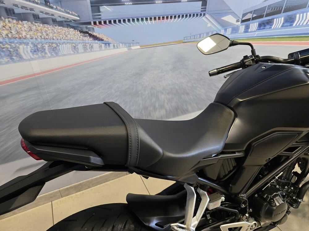Honda CB 300 R (2018 - 19) (15)