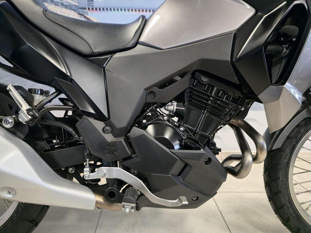 Kawasaki Versys-X 300 (2017 - 20) (13)