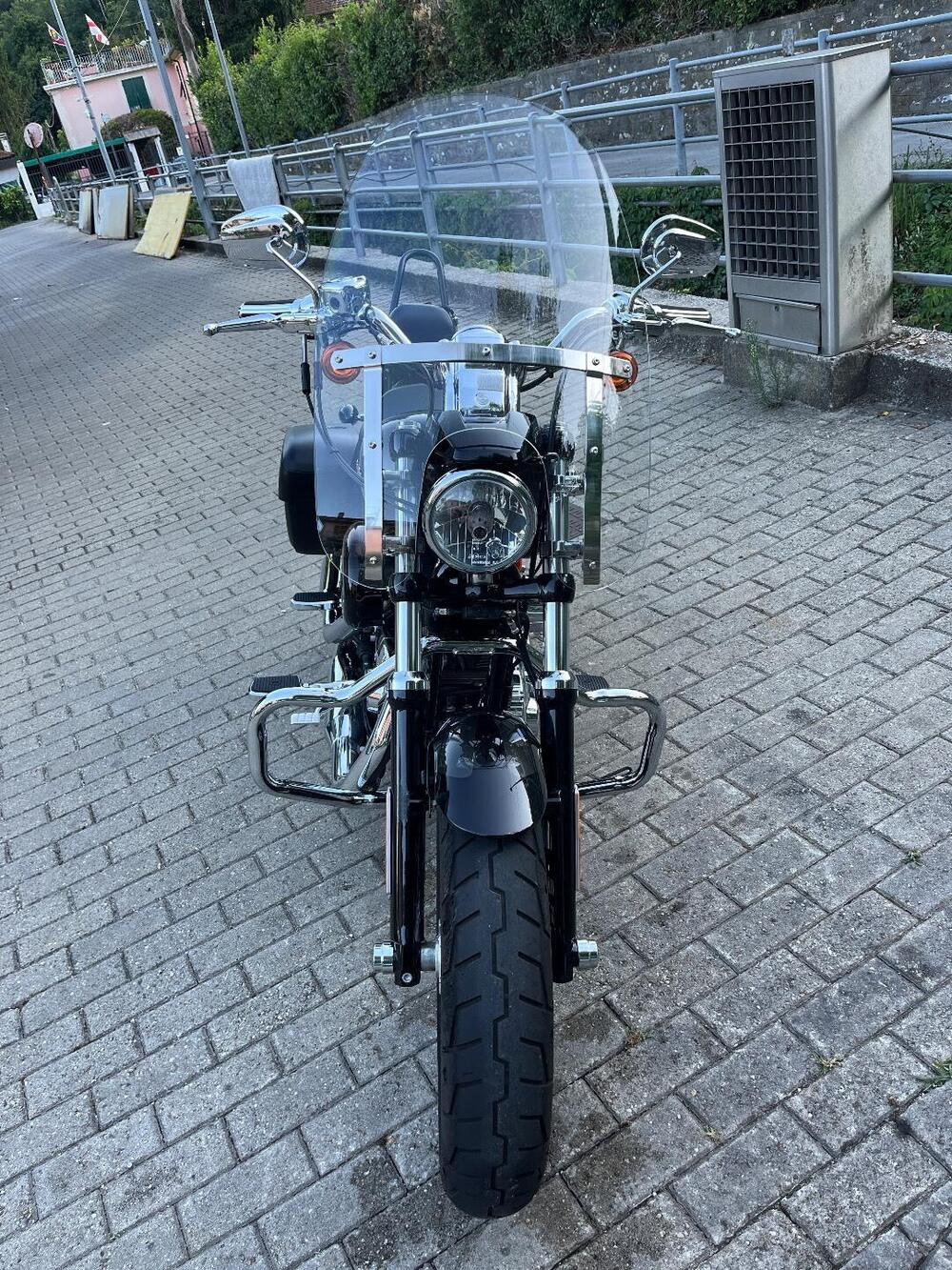 Harley-Davidson 1200 Custom (2018 - 20) - XL1200C (4)