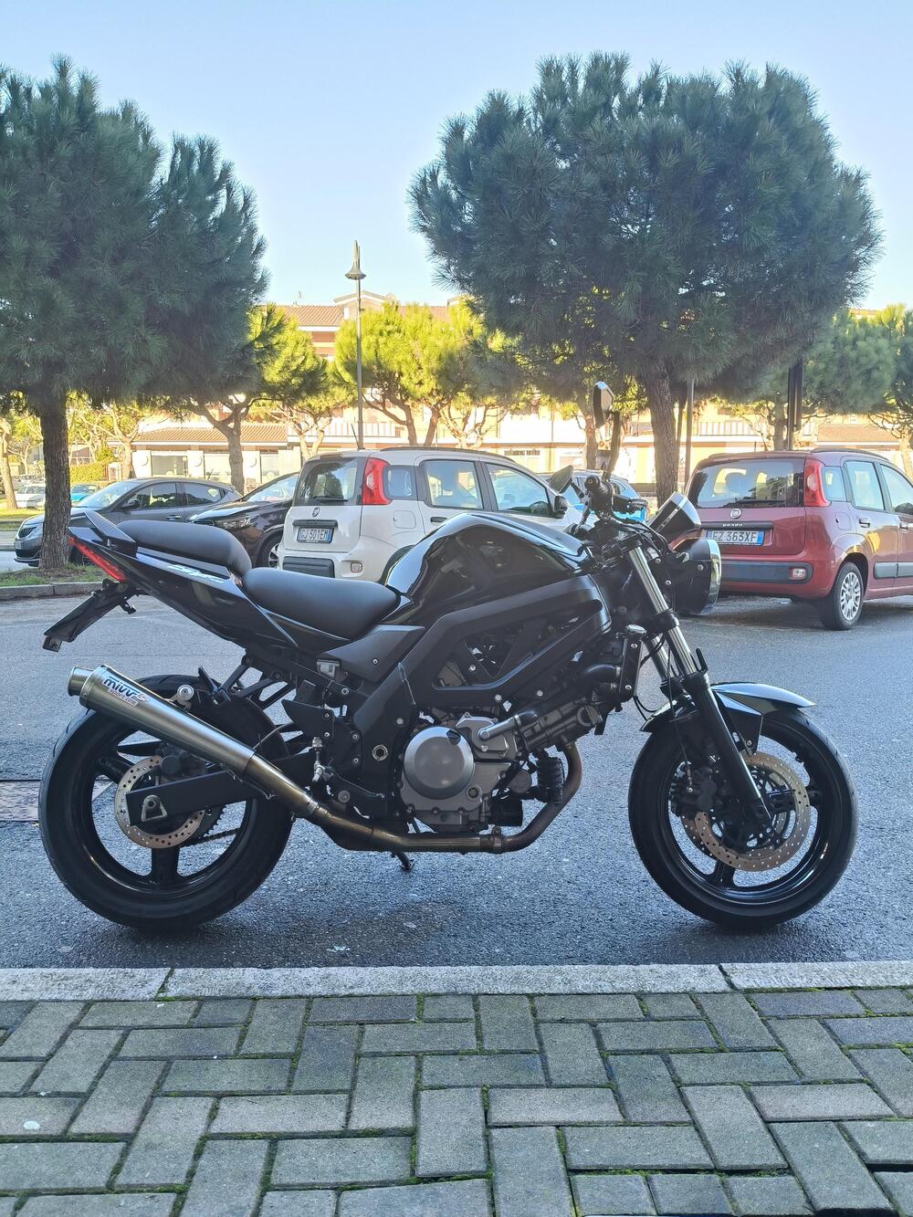 Suzuki SV 650 (2003 - 06) (2)