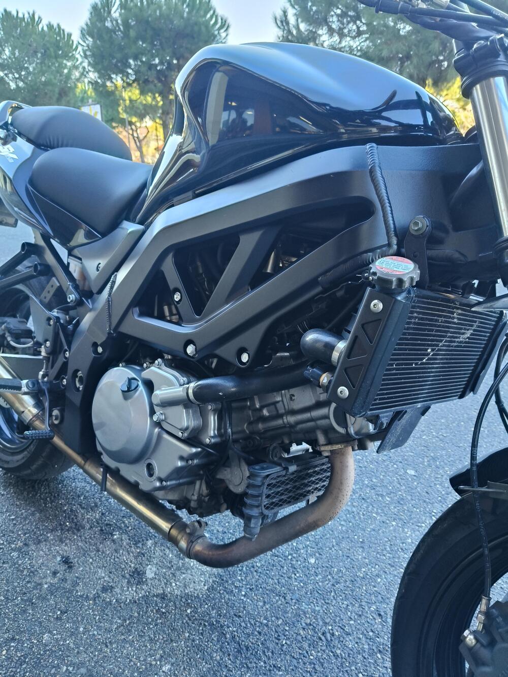 Suzuki SV 650 (2003 - 06) (4)