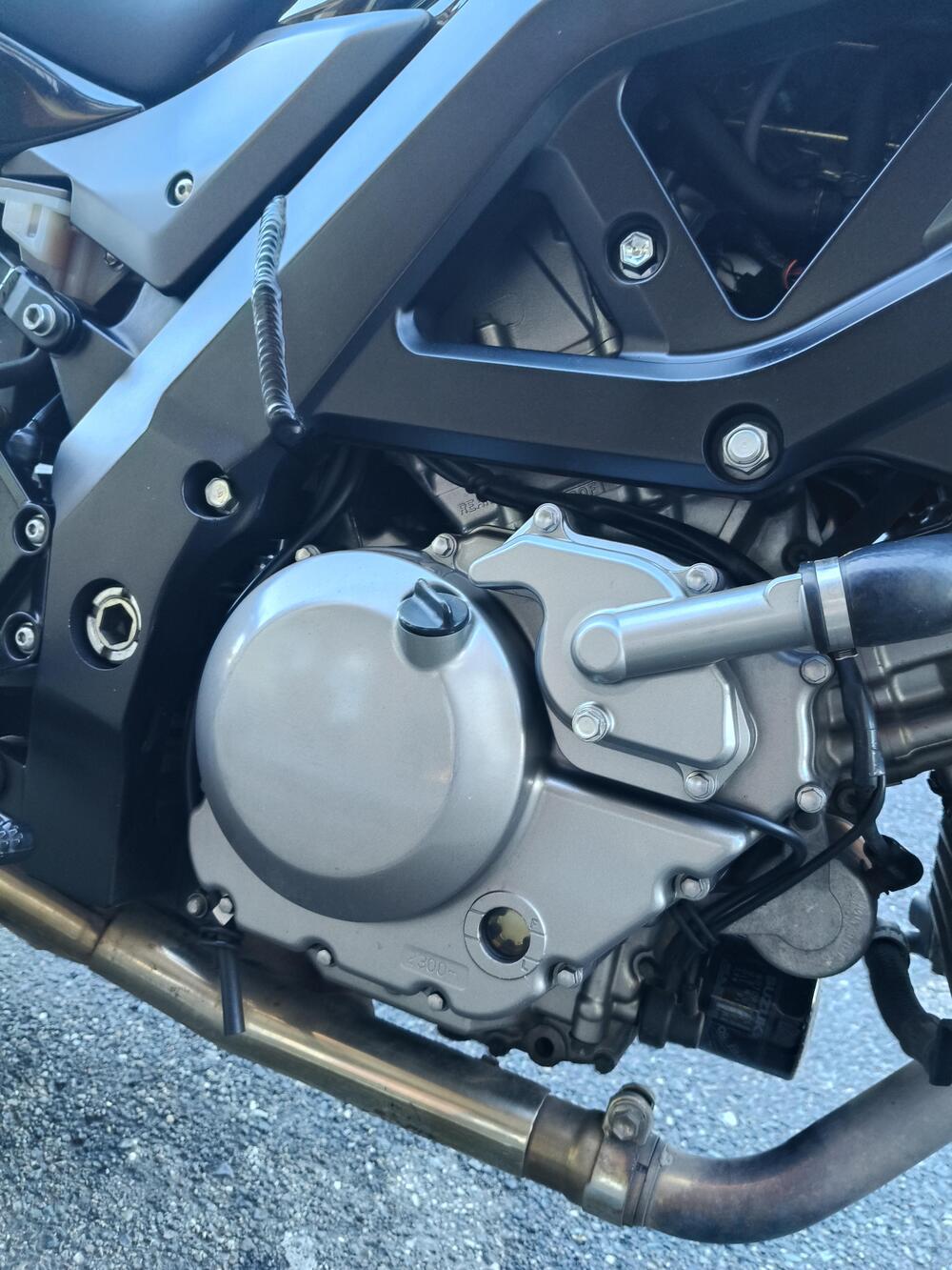 Suzuki SV 650 (2003 - 06) (6)