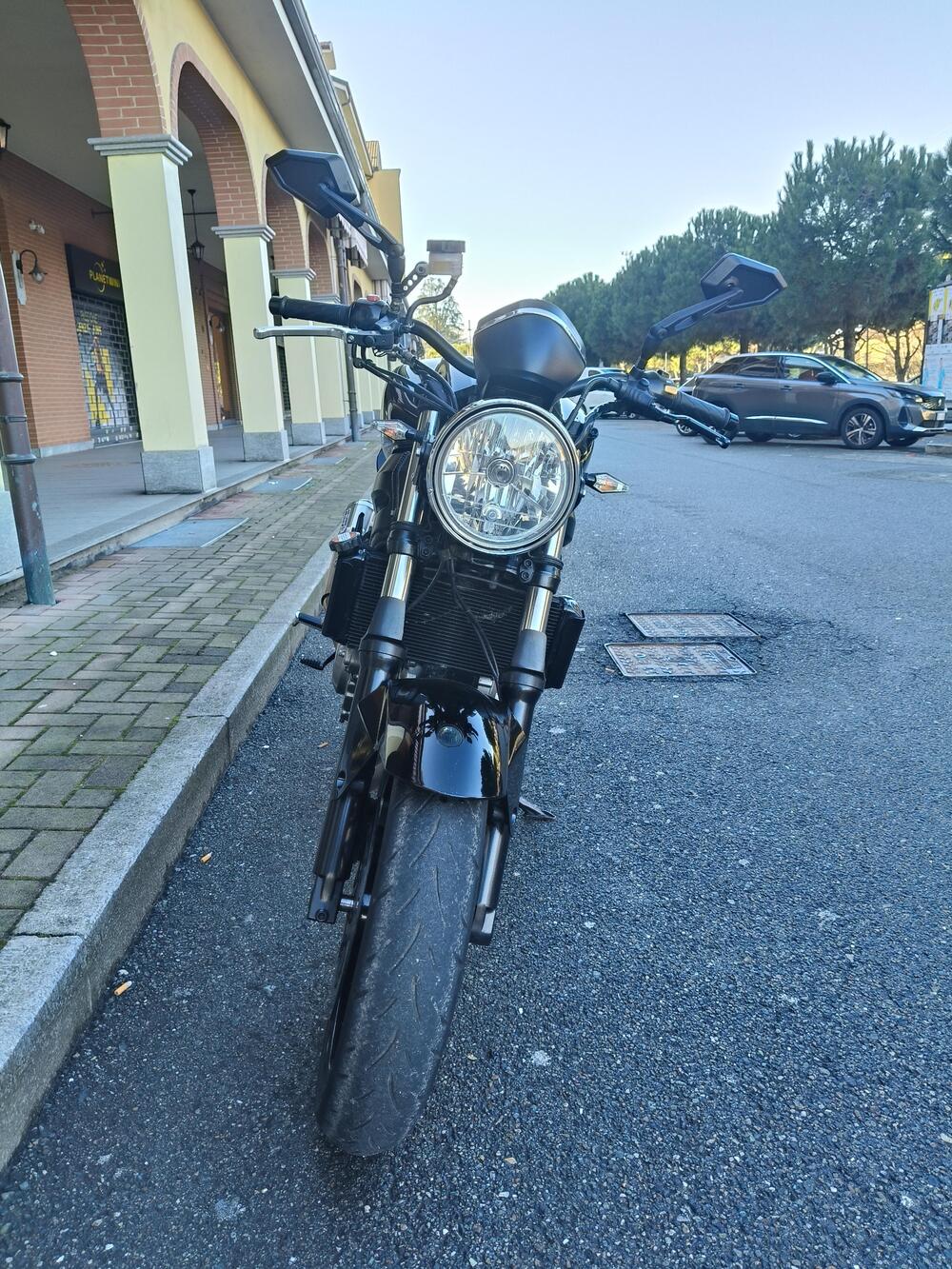 Suzuki SV 650 (2003 - 06) (15)