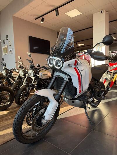 Ducati DesertX (2022 - 25) usata