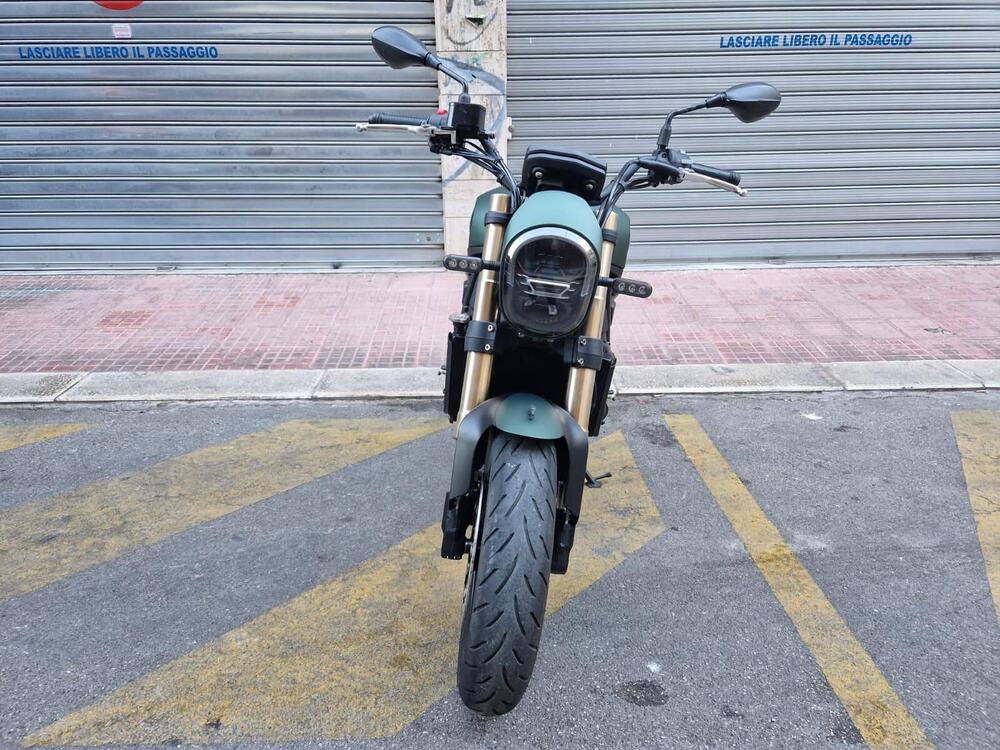 Benelli Leoncino 800 (2022 - 25) (2)