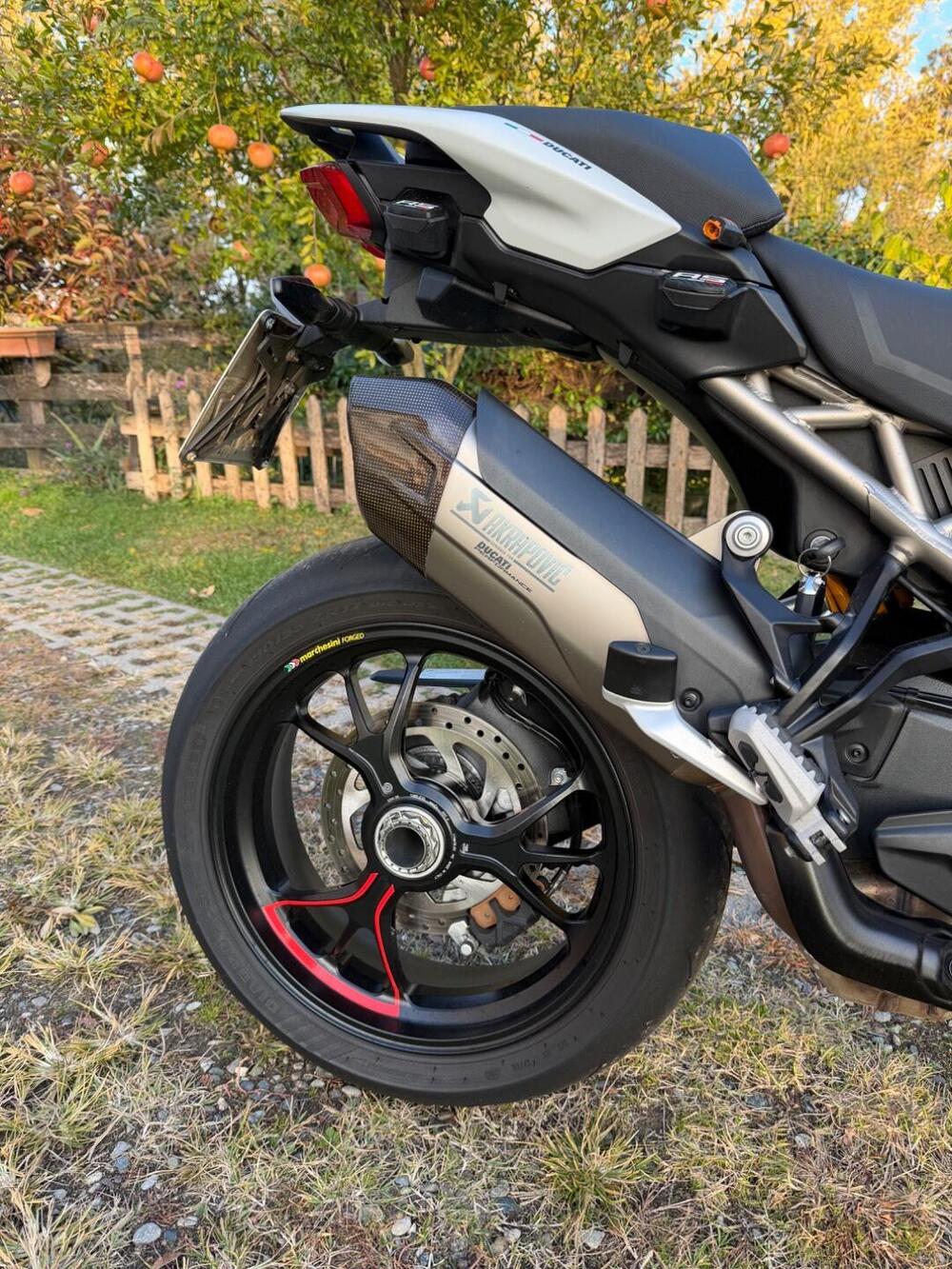 Ducati Multistrada V4 RS (2024 - 25) (6)