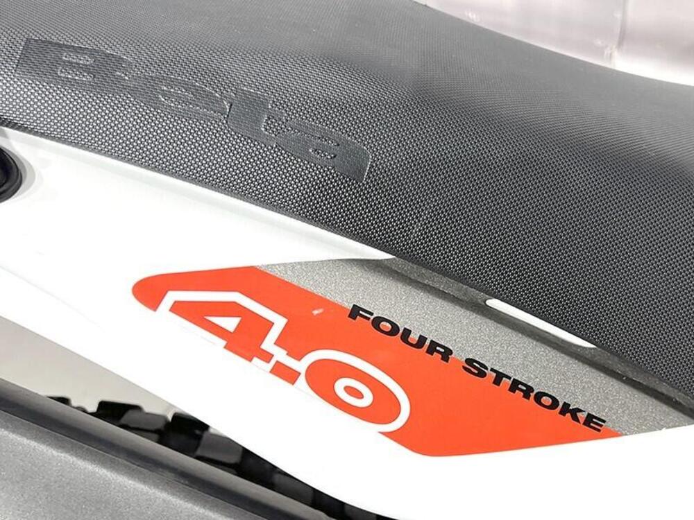 Betamotor Alp 4.0 (2006 - 08) (5)