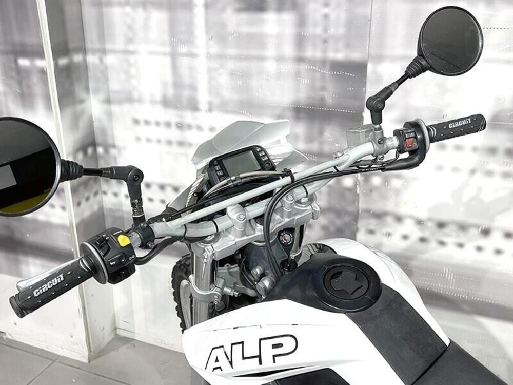 Betamotor Alp 4.0 (2006 - 08) (6)