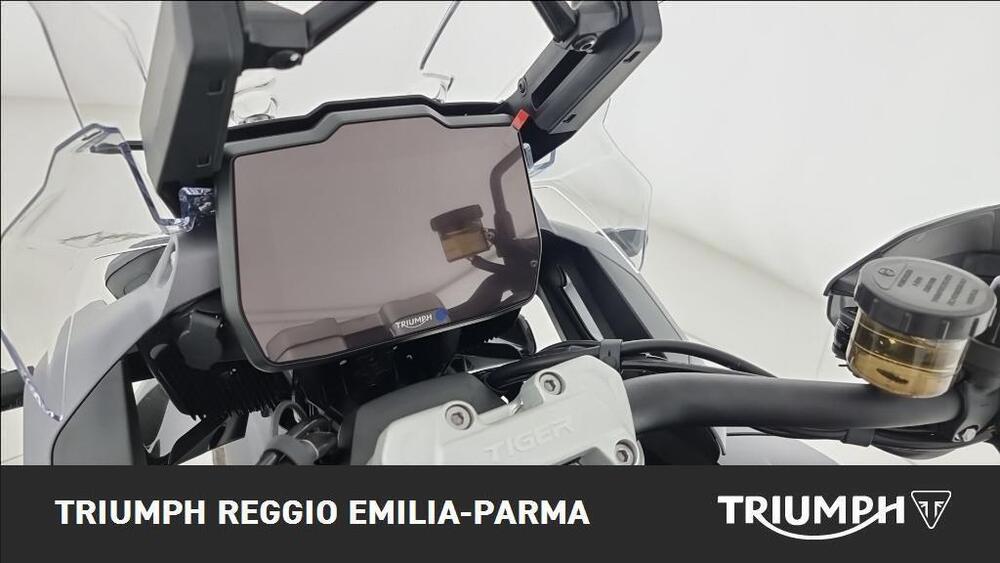Triumph Tiger 1200 GT Pro (2024 - 25) (8)